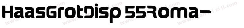 HaasGrotDisp 55Roma字体转换